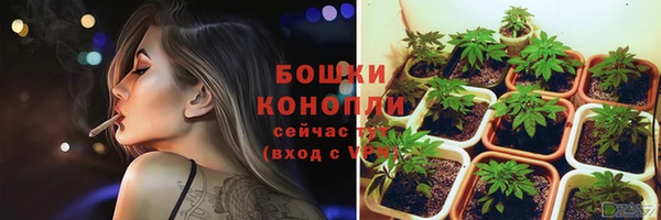 прущие грибы Баксан