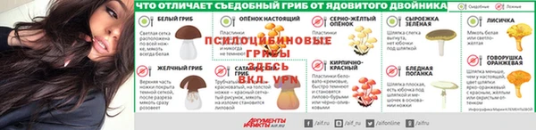 spice Балабаново