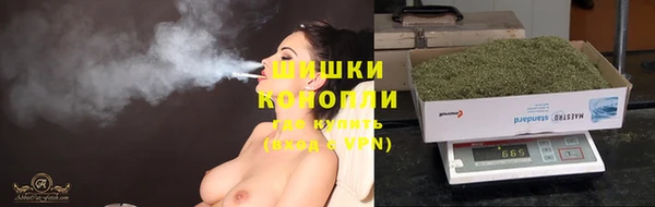 прущие грибы Баксан