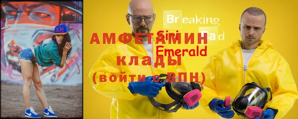 прущие грибы Баксан