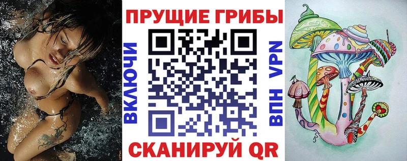 сайты даркнета наркотические препараты  Северо-Курильск  Псилоцибиновые грибы Magic Shrooms 